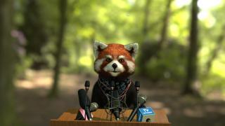 国产小浣熊原色视频