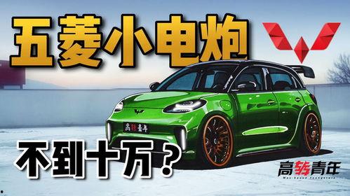 国产纯电车性能差吗视频,是短板还是潜力股？