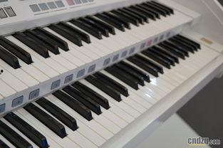 国产双排键电子琴视频,视频带你领略音乐新境界