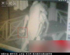 国产特黄激情视频门豆